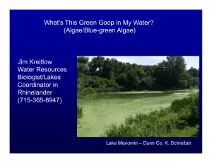 What’s This Green Goop in My Water? (Algae/Blue-green Algae) Jim Kreitlow Water Resources