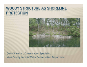 WOODY STRUCTURE AS SHORELINE PROTECTION Quita Sheehan, Conservation Specialist,