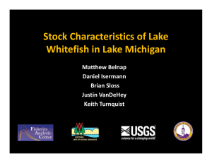 Stock Characteristics of Lake  Whitefish in Lake Michigan Matthew Belnap  Daniel Isermann