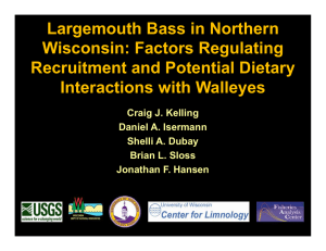 Largemouth Bass in Northern Wisconsin: Factors Regulating Recruitment and Potential Dietary