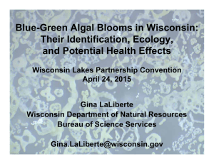 Blue-Green Algal Blooms in Wisconsin: Their Identification, Ecology, and Potential Health Effects