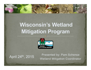 April 24 , 2015 Presented by: Pam Schense Wetland Mitigation Coordinator