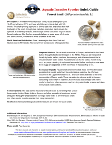 Aquatic Invasive Species Quick Guide  Faucet Snail