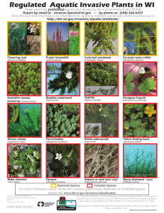 Regulated  Aquatic Invasive Plants in WI