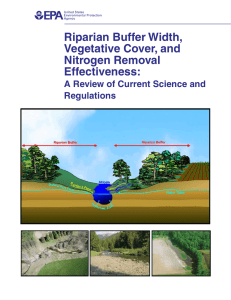 Riparian Buffer Width, Vegetative Cover, and Nitrogen Removal Effectiveness: