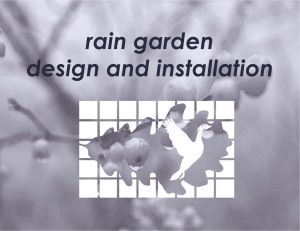 rain garden design and installation