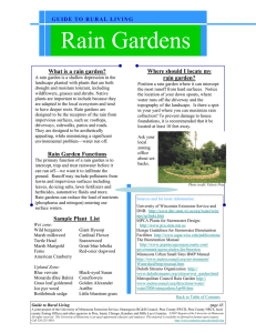 Rain Gardens  Where should I locate my What is a rain garden?
