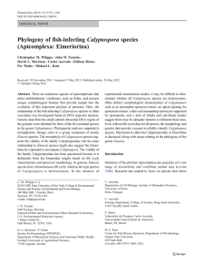 Calyptospora species Phylogeny of fish-infecting (Apicomplexa: Eimeriorina) ORIGINAL PAPER