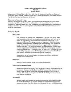 Student Affairs Assessment Council Agenda October 3, 2007