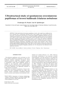 l Ictalurus nebulosus Ultrastructural study of  spontaneous orocutaneous
