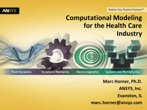Computational Modeling for the Health Care Industry Marc Horner, Ph.D.