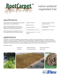 native wetland vegetated mat specifications