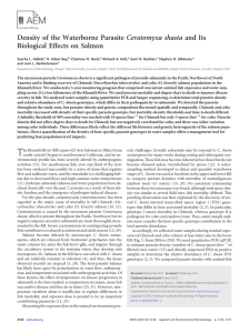 Ceratomyxa shasta Biological Effects on Salmon
