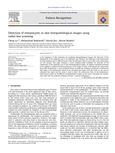 Detection of melanocytes in skin histopathological images using radial line scanning