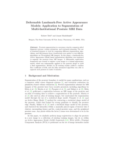 Deformable Landmark-Free Active Appearance Models: Application to Segmentation of