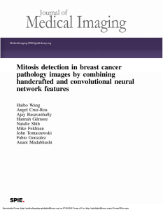 Mitosis detection in breast cancer pathology images by combining network features
