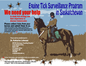 Equine Tick Surveillance Program in Saskatchewan We need your help