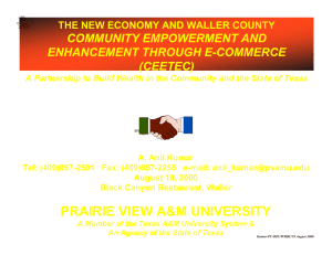 COMMUNITY EMPOWERMENT AND ENHANCEMENT THROUGH E-COMMERCE (CEETEC) THE NEW ECONOMY AND WALLER COUNTY