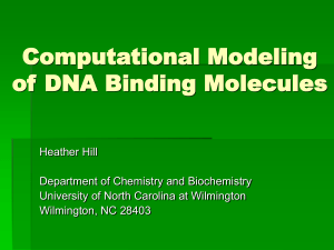 Computational Modeling of DNA Binding Molecules