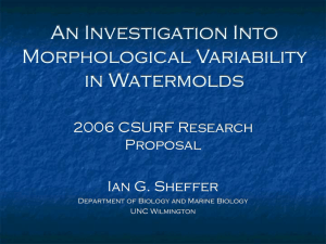 An Investigation Into Morphological Variability in Watermolds 2006 CSURF Research