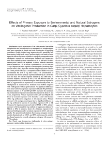 Effects of Primary Exposure to Environmental and Natural Estrogens (Cyprinus carpio)