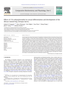 α-ethynylestradiol on sexual differentiation and development of the Effects of 17