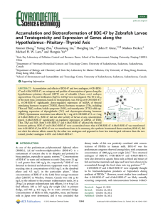 ﬁsh Larvae Accumulation and Biotransformation of BDE-47 by Zebra
