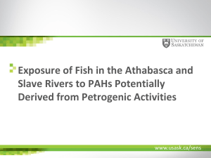 Exposure of Fish in the Athabasca and Derived from Petrogenic Activities