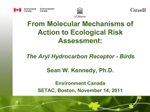 From Molecular Mechanisms of Action to Ecological Risk Assessment: