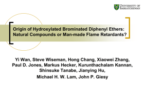 Origin of Hydroxylated Brominated Diphenyl Ethers: