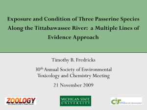 Exposure and Condition of Three Passerine Species Evidence Approach