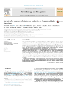 Managing for water-use efﬁcient wood production in Eucalyptus globulus plantations
