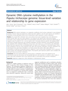 Dynamic DNA cytosine methylation in the Populus trichocarpa genome: tissue-level variation