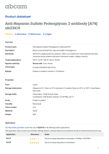 Anti-Heparan Sulfate Proteoglycan 2 antibody [A74] ab23418