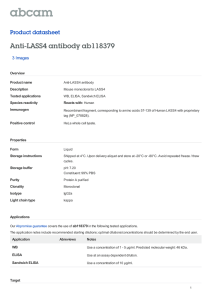 Anti-LASS4 antibody ab118379 Product datasheet 3 Images Overview