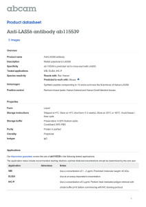 Anti-LASS6 antibody ab115539 Product datasheet 3 Images Overview