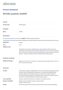 NCOR2 peptide ab4909 Product datasheet Overview Product name