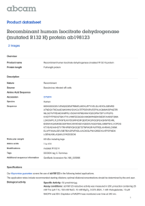 Recombinant human Isocitrate dehydrogenase (mutated R132 H) protein ab198123