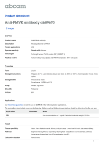 Anti-PMVK antibody ab89670 Product datasheet 2 Images