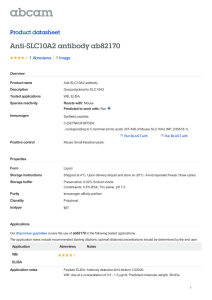 Anti-SLC10A2 antibody ab82170 Product datasheet 1 Abreviews 1 Image