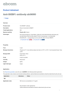 Anti-SREBP1 antibody ab58000 Product datasheet 1 Image Overview