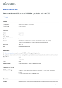 Recombinant Human PRMT4 protein ab161025 Product datasheet 1 Image Overview