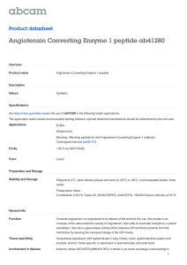 Angiotensin Converting Enzyme 1 peptide ab41280 Product datasheet Overview Product name
