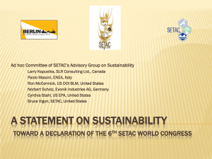 Ad hoc Committee of SETAC’s Advisory Group on Sustainability