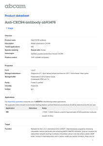 Anti-CXCR4 antibody ab93478 Product datasheet 1 Image