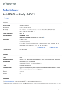 Anti-NFAT1 antibody ab95479 Product datasheet 2 Images Overview