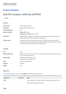 Anti-IP3 receptor antibody ab97823 Product datasheet 1 Image