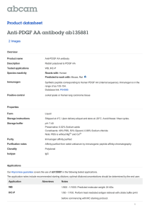 Anti-PDGF AA antibody ab135881 Product datasheet 2 Images
