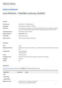 Anti-PDGFAA + PDGFBB antibody ab50201 Product datasheet Overview Product name