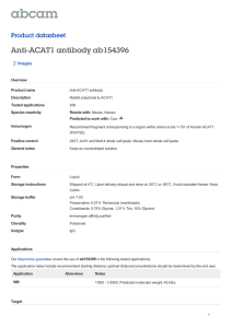 Anti-ACAT1 antibody ab154396 Product datasheet 2 Images